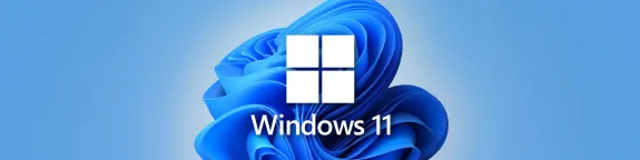 Windows 11 logo